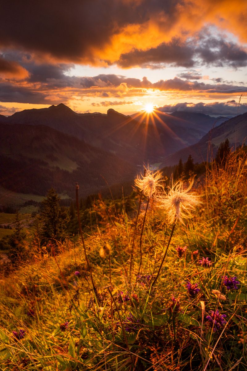 Galerie mit Landschaftsfotos von Naturfotograf Nicolas Stettler.