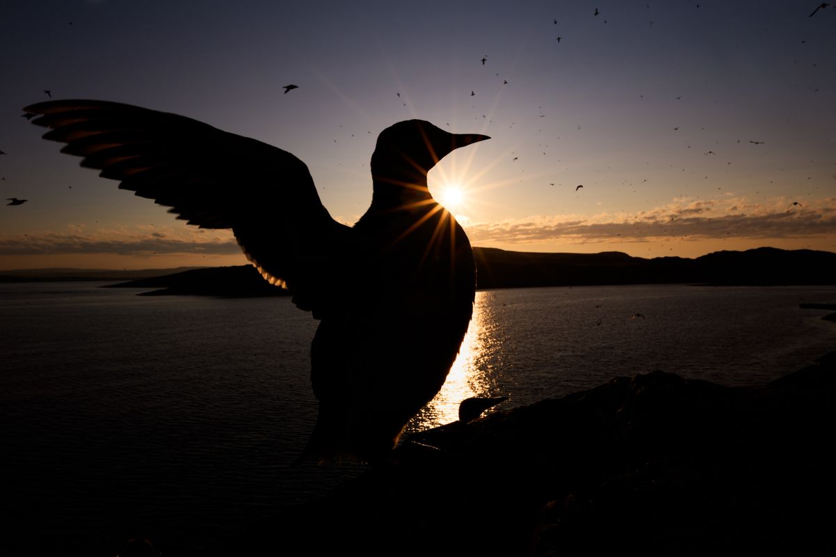 Portfolio von Naturfotograf Nicolas Stettler.