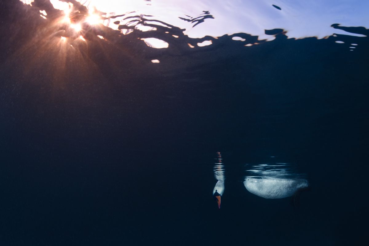 Portfolio von Naturfotograf Nicolas Stettler.