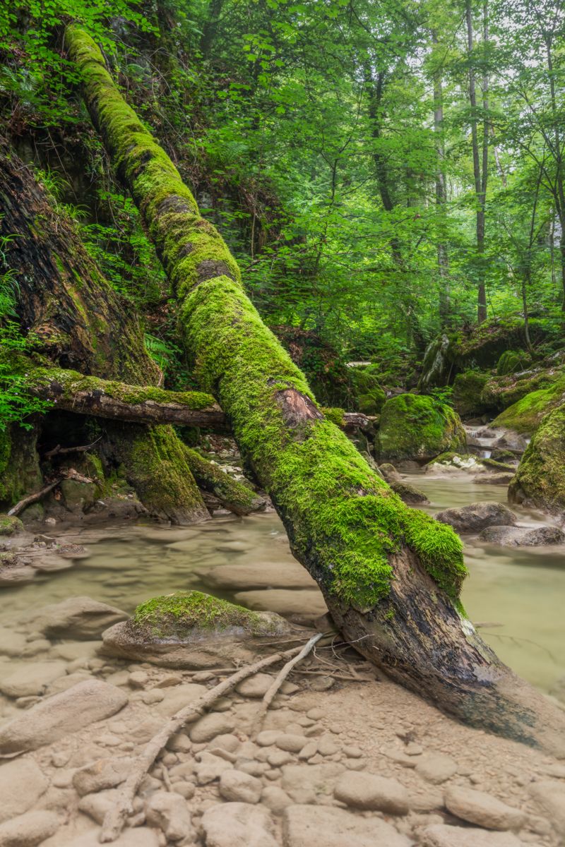 Galerie mit Landschaftsfotos von Naturfotograf Nicolas Stettler.