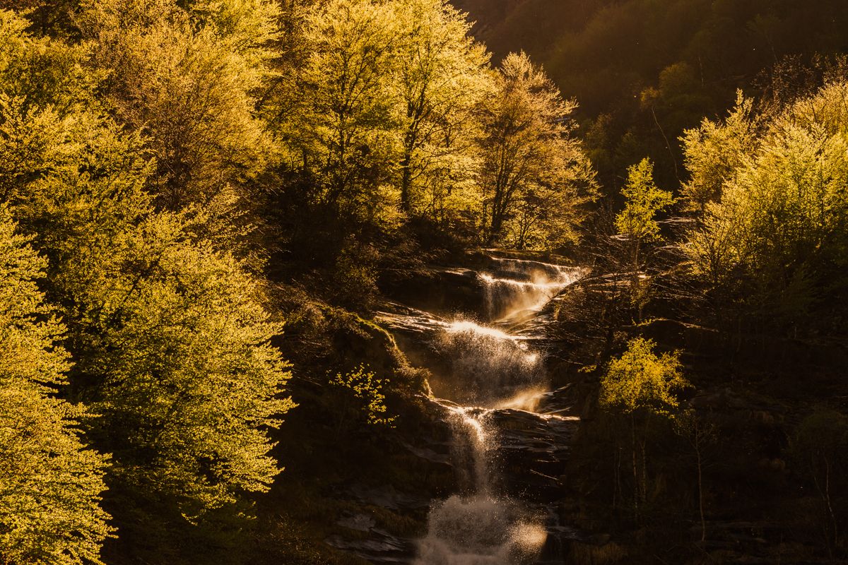 Galerie mit Landschaftsfotos von Naturfotograf Nicolas Stettler.