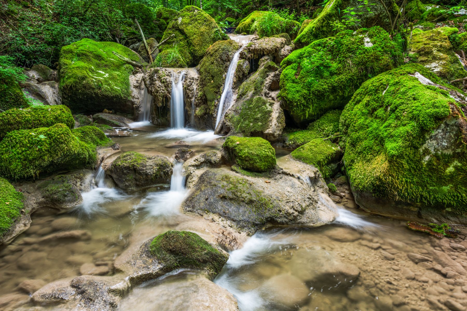 Ein kleiner Wasserfall bei spriessendem Moos.